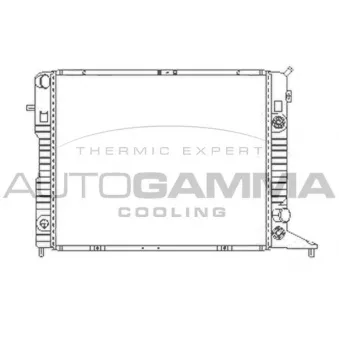 Radiateur, refroidissement du moteur AUTOGAMMA [100711]