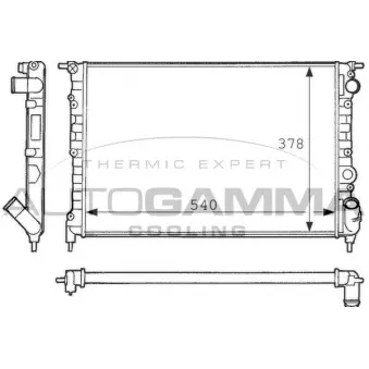 Radiateur, refroidissement du moteur AUTOGAMMA 100869