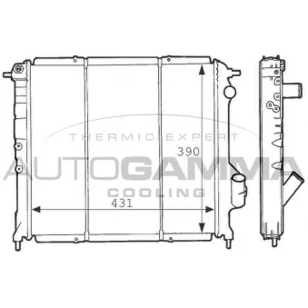 AUTOGAMMA 100894 - Radiateur, refroidissement du moteur