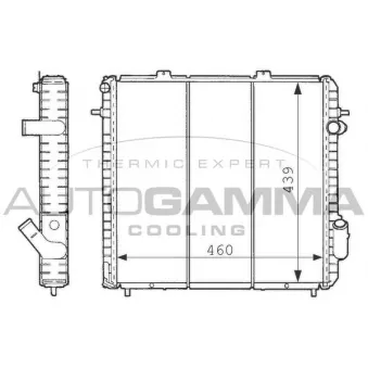 Radiateur, refroidissement du moteur AUTOGAMMA OEM 6006000712