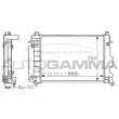 Radiateur, refroidissement du moteur AUTOGAMMA [100936]