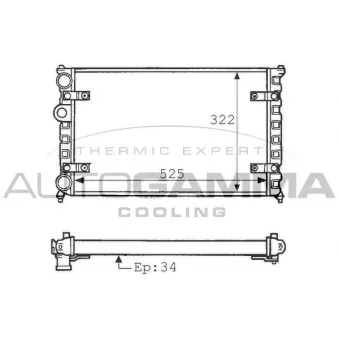 Radiateur, refroidissement du moteur AUTOGAMMA 100947