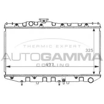 Radiateur, refroidissement du moteur AUTOGAMMA 100990