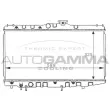 Radiateur, refroidissement du moteur AUTOGAMMA [101017]