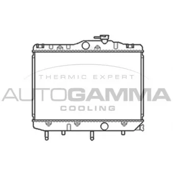 AUTOGAMMA 101030 - Radiateur, refroidissement du moteur