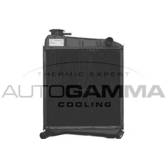 AUTOGAMMA 101117 - Radiateur, refroidissement du moteur