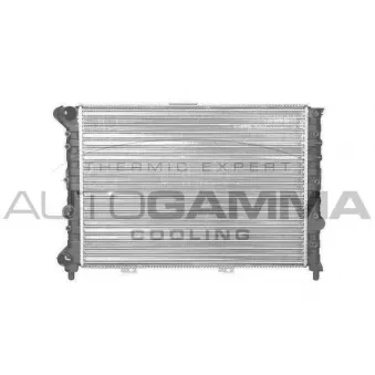 Radiateur, refroidissement du moteur AUTOGAMMA OEM 60663071