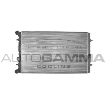 Radiateur, refroidissement du moteur AUTOGAMMA 101155