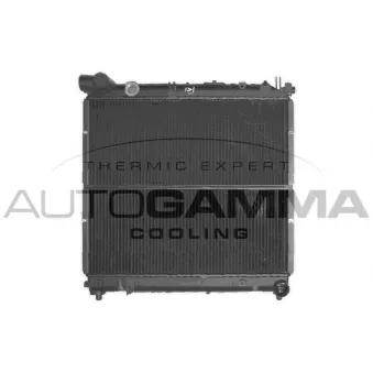 Radiateur, refroidissement du moteur AUTOGAMMA OEM 1770086CE0
