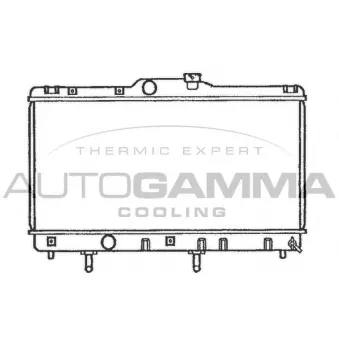 Radiateur, refroidissement du moteur AUTOGAMMA 101272