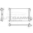 Radiateur, refroidissement du moteur AUTOGAMMA [101345]