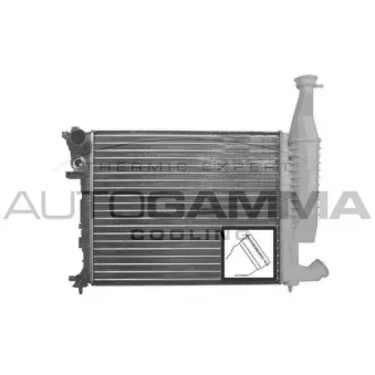Radiateur, refroidissement du moteur AUTOGAMMA OEM 1331cp