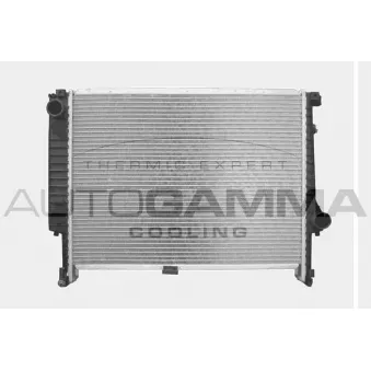Radiateur, refroidissement du moteur AUTOGAMMA OEM 2244753