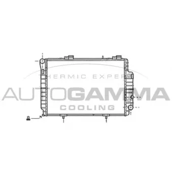 Radiateur, refroidissement du moteur AUTOGAMMA OEM 2025006403