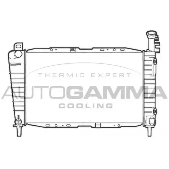Radiateur, refroidissement du moteur AUTOGAMMA [101428]