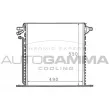 AUTOGAMMA 101563 - Condenseur, climatisation