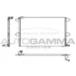 AUTOGAMMA 101602 - Condenseur, climatisation