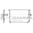AUTOGAMMA 101714 - Condenseur, climatisation