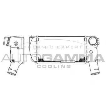 Intercooler, échangeur AUTOGAMMA 101860