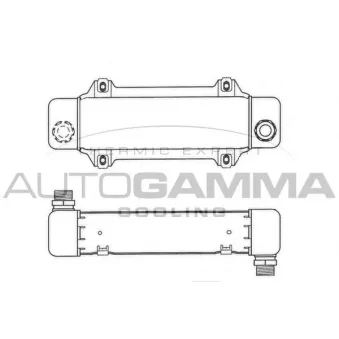 AUTOGAMMA 101867 - Radiateur d'huile