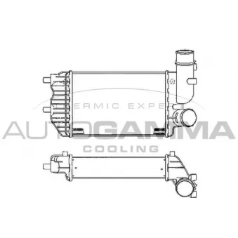 Intercooler, échangeur AUTOGAMMA 101888