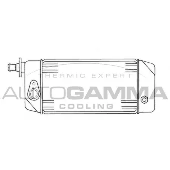 Radiateur d'huile AUTOGAMMA 101892