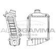 AUTOGAMMA 101964 - Intercooler, échangeur