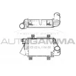 Intercooler, échangeur AUTOGAMMA [101966]
