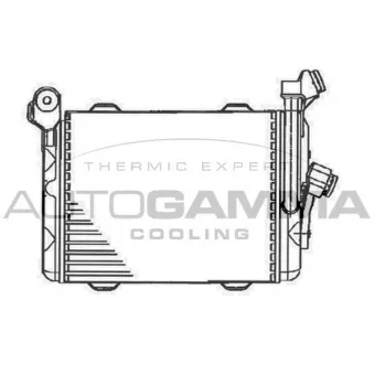 Radiateur d'huile AUTOGAMMA 102013