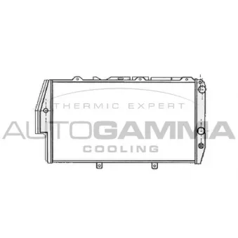 AUTOGAMMA 102026 - Radiateur, refroidissement du moteur