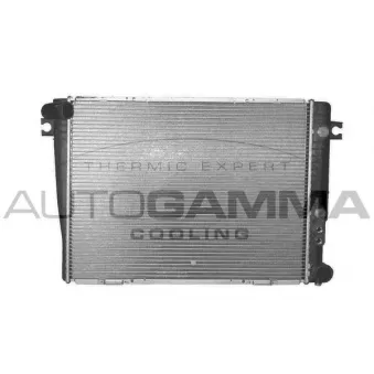 Radiateur, refroidissement du moteur AUTOGAMMA [102039]