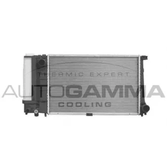 AUTOGAMMA 102041 - Radiateur, refroidissement du moteur
