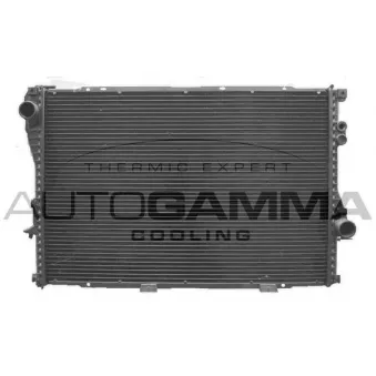 Radiateur, refroidissement du moteur AUTOGAMMA OEM 1702969