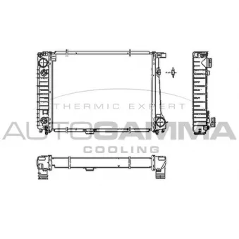 AUTOGAMMA 102043 - Radiateur, refroidissement du moteur
