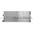 AUTOGAMMA 102062 - Radiateur, refroidissement du moteur