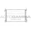 AUTOGAMMA 102073 - Radiateur, refroidissement du moteur