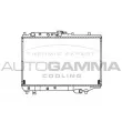 AUTOGAMMA 102135 - Radiateur, refroidissement du moteur