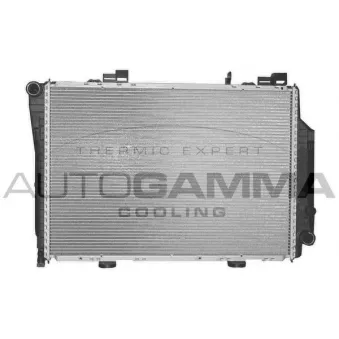 AUTOGAMMA 102148 - Radiateur, refroidissement du moteur
