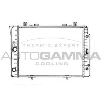 Radiateur, refroidissement du moteur AUTOGAMMA 102162