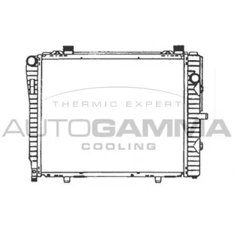 AUTOGAMMA 102166 - Radiateur, refroidissement du moteur