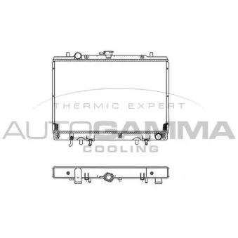 Radiateur, refroidissement du moteur AUTOGAMMA 102177