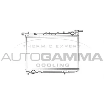 Radiateur, refroidissement du moteur AUTOGAMMA OEM 2141058Y11