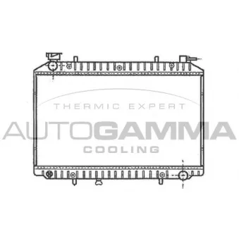 Radiateur, refroidissement du moteur AUTOGAMMA OEM 214109C002