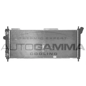 Radiateur, refroidissement du moteur AUTOGAMMA OEM 1300153
