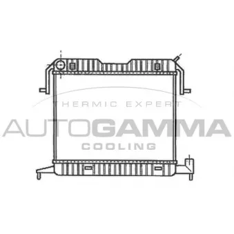 Radiateur, refroidissement du moteur AUTOGAMMA OEM 90280691