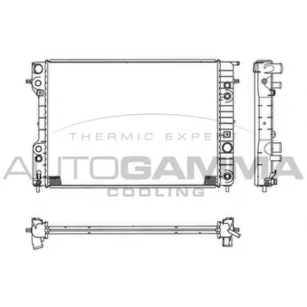 Radiateur, refroidissement du moteur AUTOGAMMA 102254