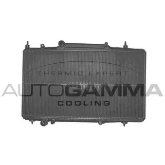Radiateur, refroidissement du moteur AUTOGAMMA 102276