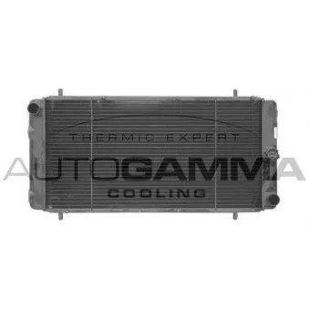 AUTOGAMMA 102285 - Radiateur, refroidissement du moteur