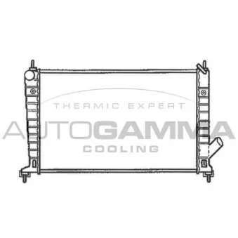 Radiateur, refroidissement du moteur AUTOGAMMA OEM 5329347