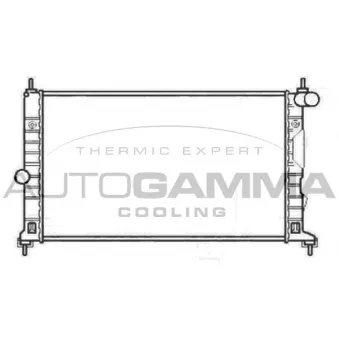 AUTOGAMMA 102303 - Radiateur, refroidissement du moteur